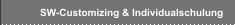 SW-Customizing & Individualschulung